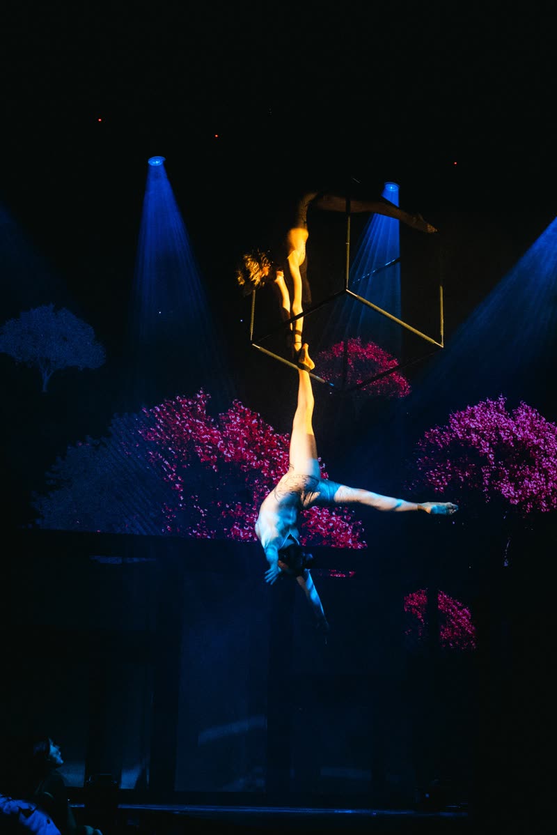 Duo aerial cube performance with one aerialist inverted below a suspended metal cube against a pink blossom backdrop
